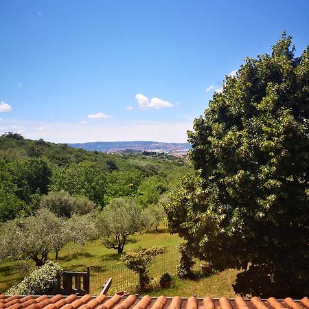 Apartma Rok Plavje Bagian luar foto