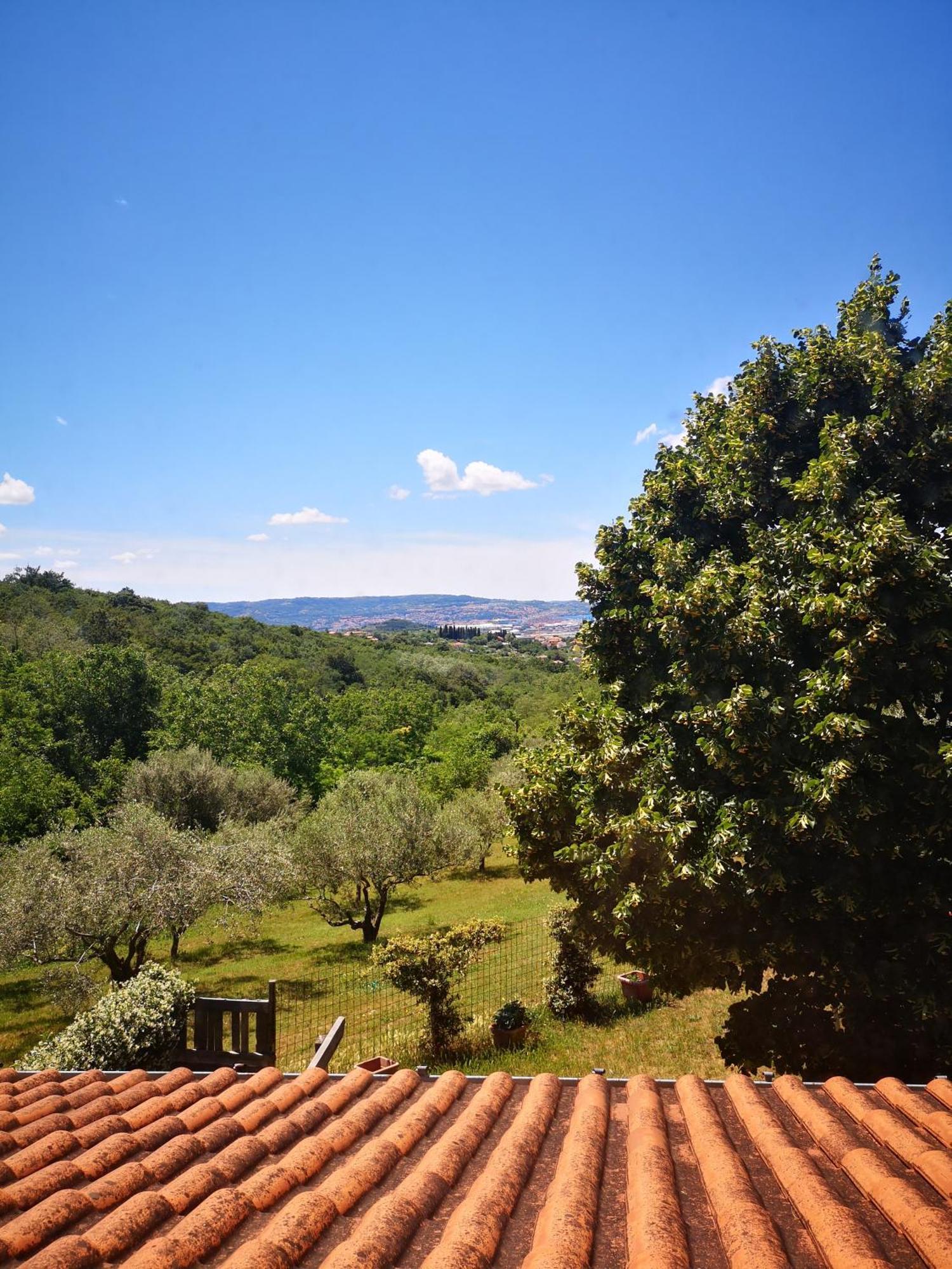 Apartma Rok Plavje Bagian luar foto